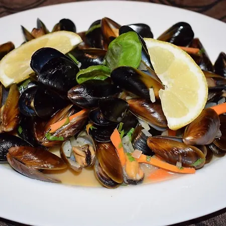 Cosher - Gardenia Palace 10 Free Parking * Pomorie