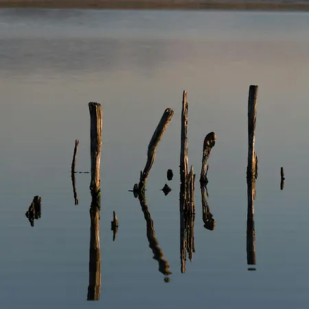 Cosher - Gardenia Palace 10 Free Parking *